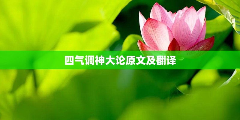为何一些人宁愿选择红米Note7也不选配置更高的小米8？