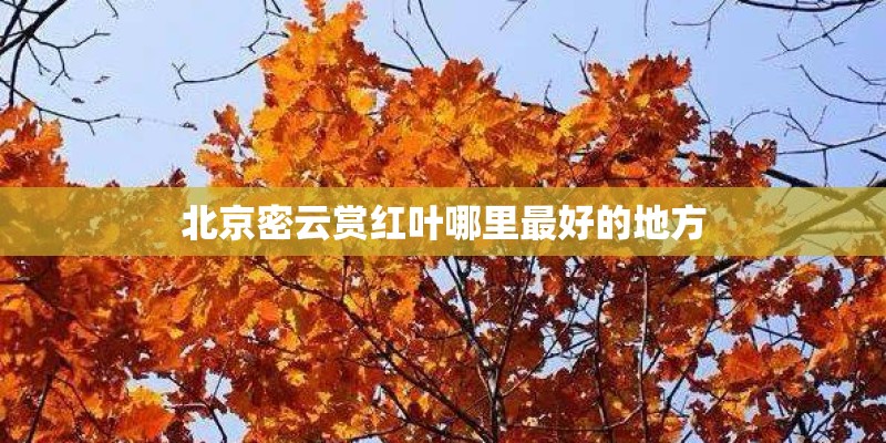 北京密云赏红叶哪里最好的地方