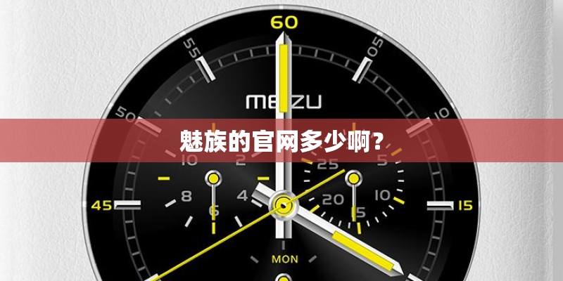 魅族的官网多少啊？