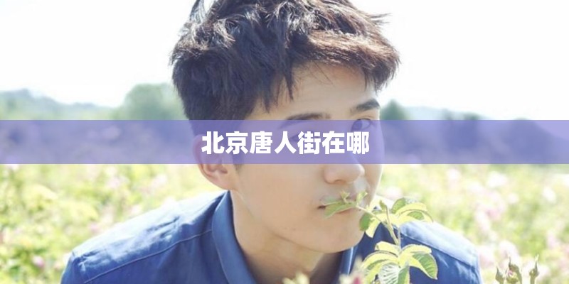 北京唐人街在哪