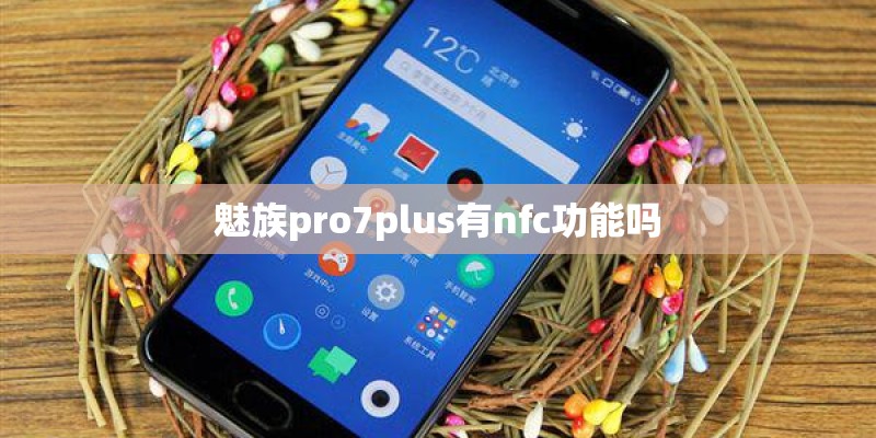 魅族pro7plus有nfc功能吗
