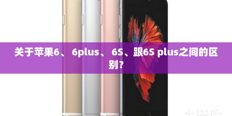 关于苹果6、 6plus、 6S、跟6S plus之间的区别？