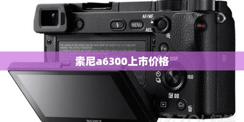 索尼a6300上市价格