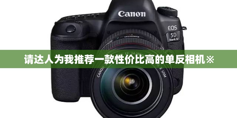 请达人为我推荐一款性价比高的单反相机※