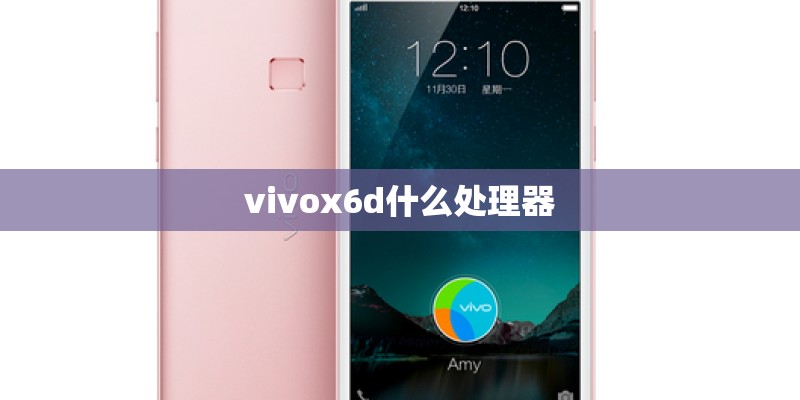 vivox6d什么处理器