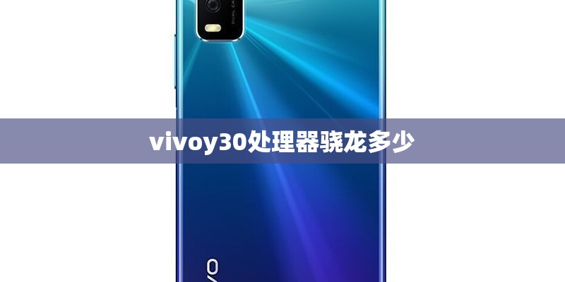 vivoy30处理器骁龙多少