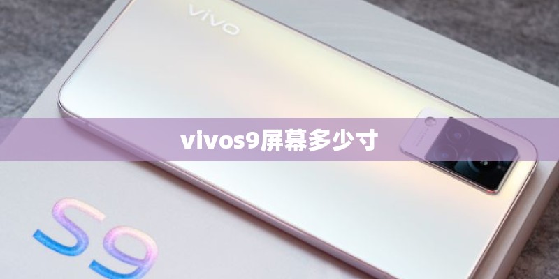 vivos9屏幕多少寸