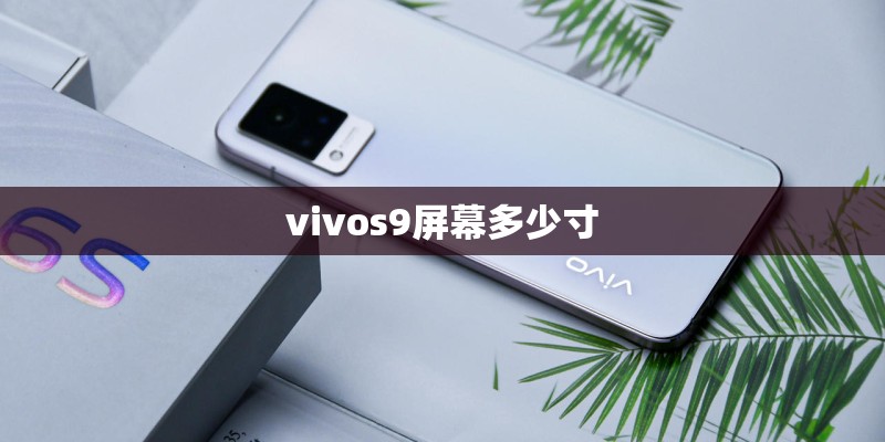 vivos9屏幕多少寸