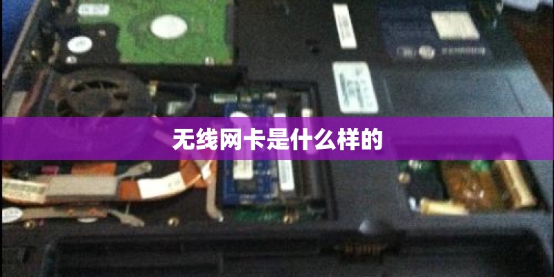 请达人为我推荐一款性价比高的单反相机※