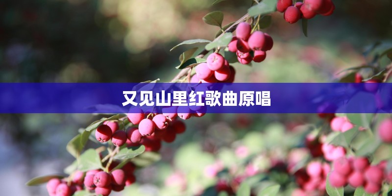 又见山里红歌曲原唱