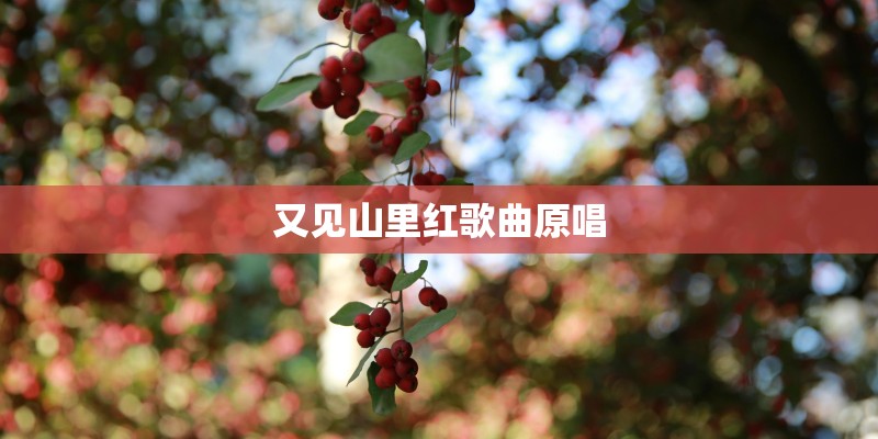 又见山里红歌曲原唱