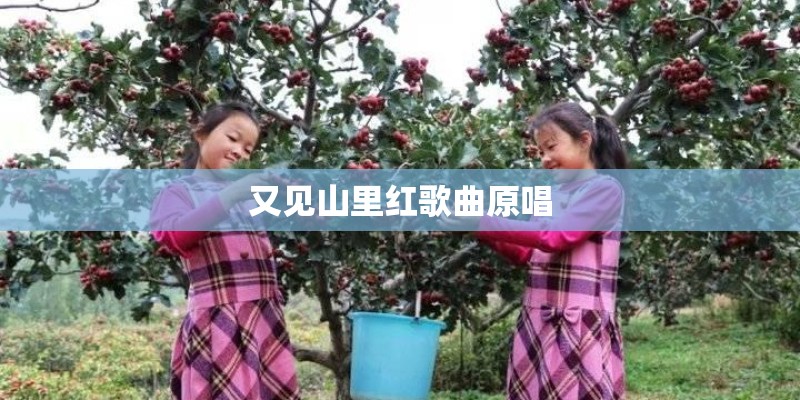 又见山里红歌曲原唱