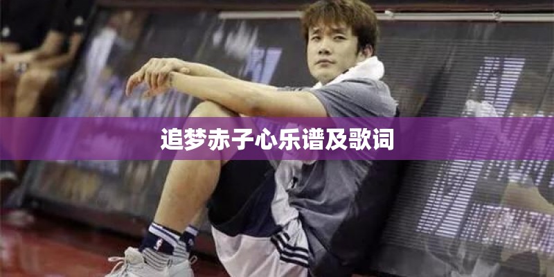 追梦赤子心乐谱及歌词