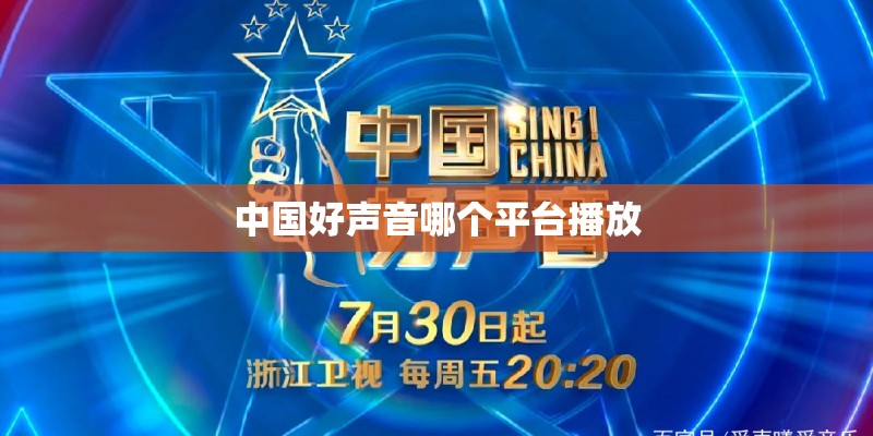 中国好声音哪个平台播放