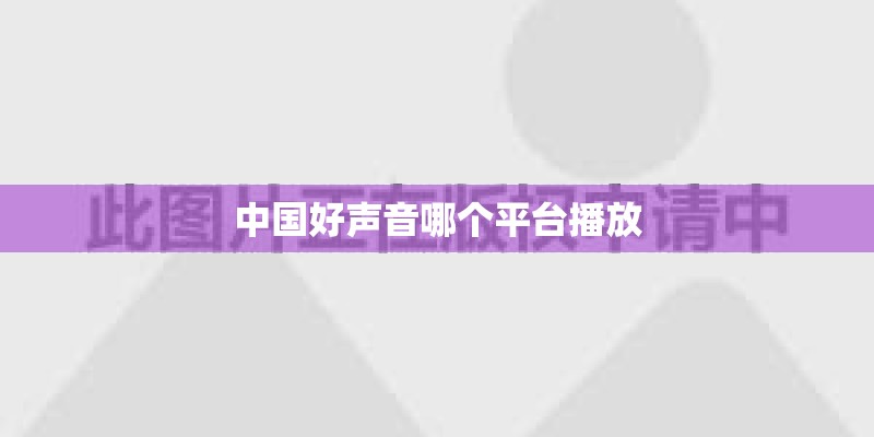 中国好声音哪个平台播放