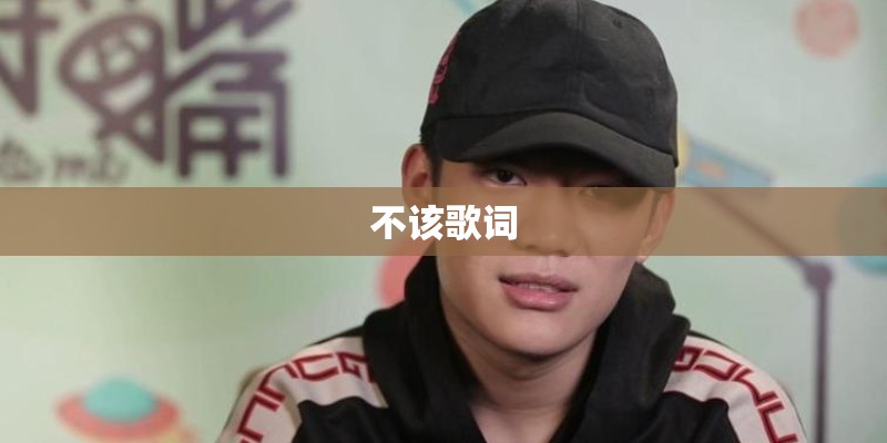不该歌词