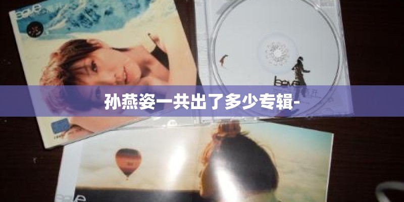 孙燕姿一共出了多少专辑-
