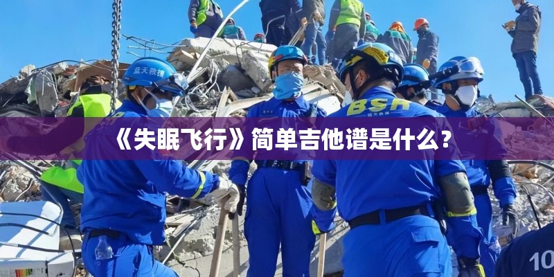 《失眠飞行》简单吉他谱是什么？