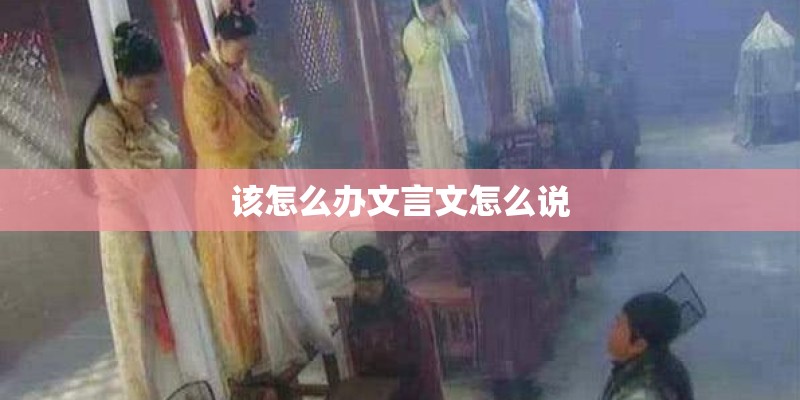 该怎么办文言文怎么说