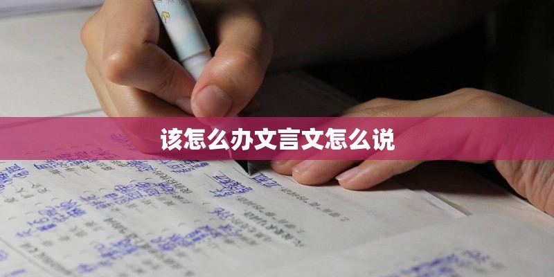 该怎么办文言文怎么说