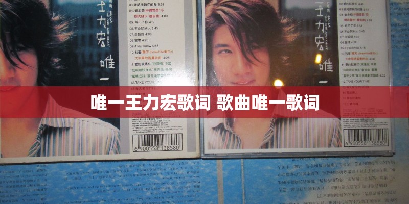唯一王力宏歌词 歌曲唯一歌词