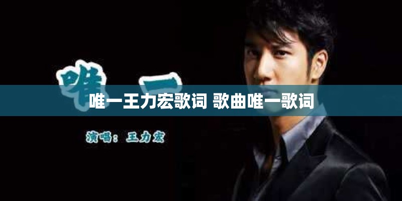 唯一王力宏歌词 歌曲唯一歌词