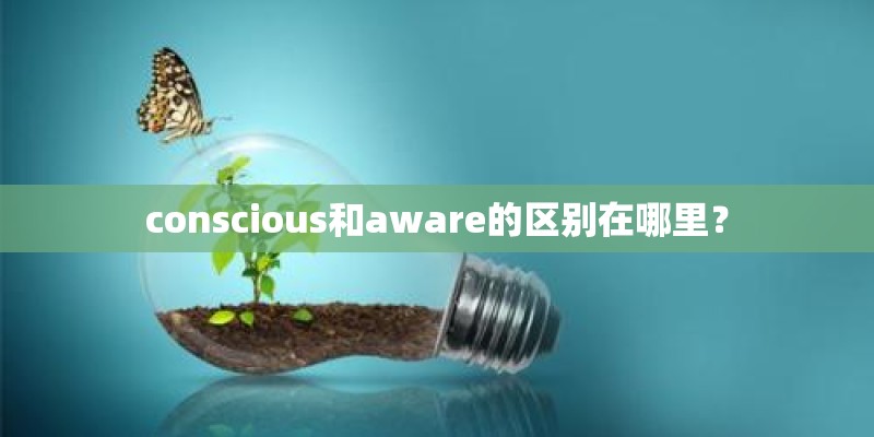 conscious和aware的区别在哪里？