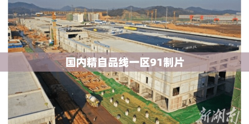 国内精自品线一区91制片