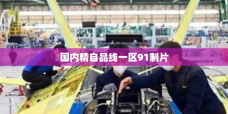 国内精自品线一区91制片