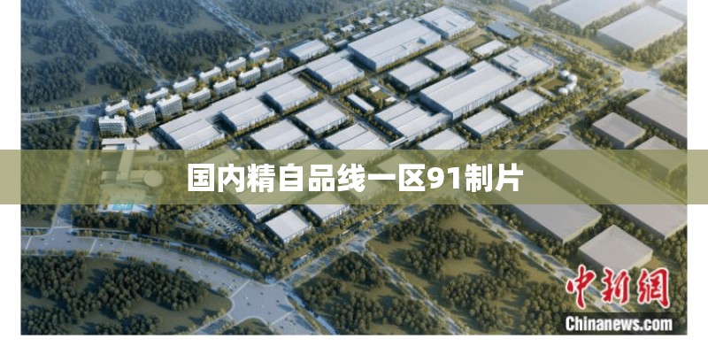国内精自品线一区91制片