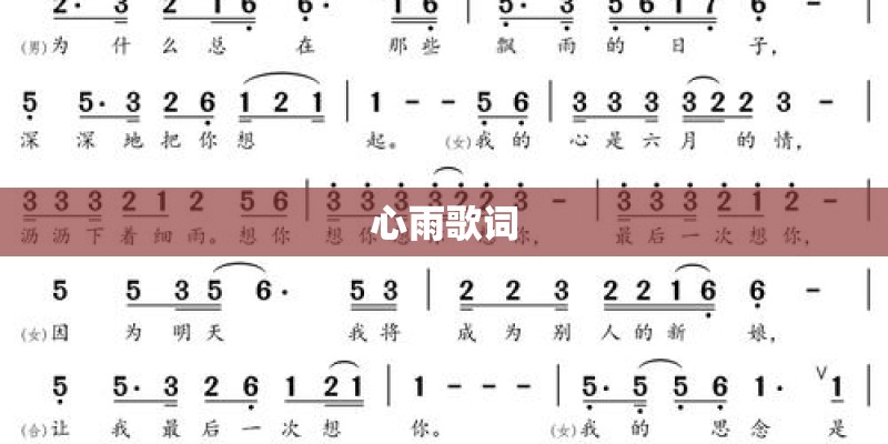 心雨歌词