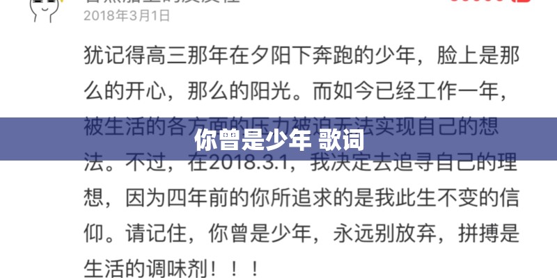 你曾是少年 歌词