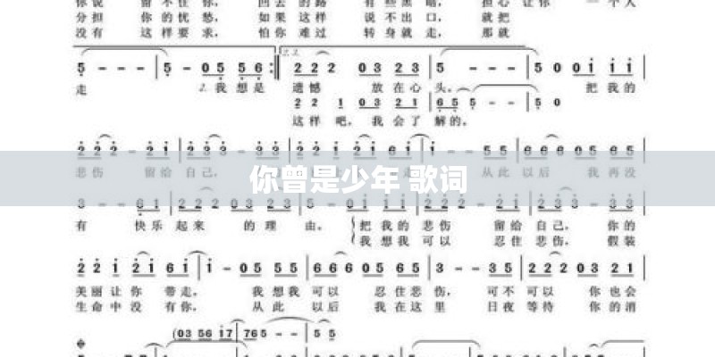 你曾是少年 歌词