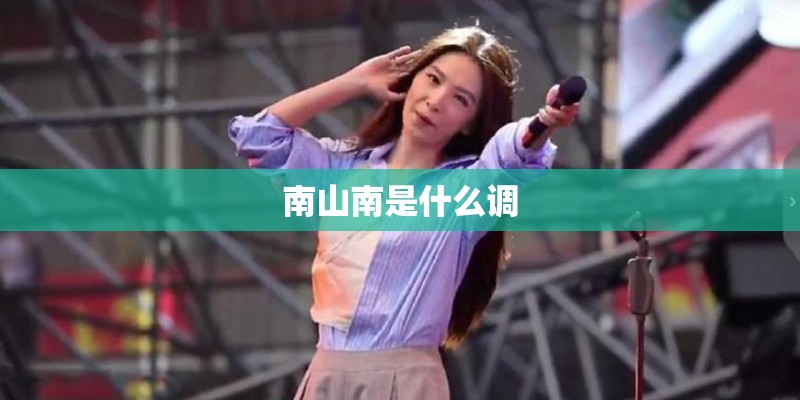 南山南是什么调