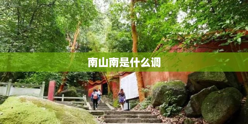 南山南是什么调