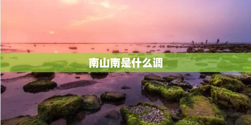 南山南是什么调