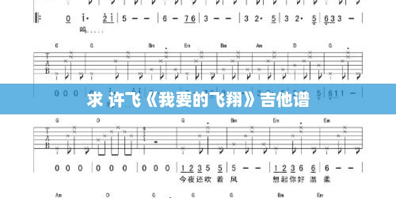 求 许飞《我要的飞翔》吉他谱
