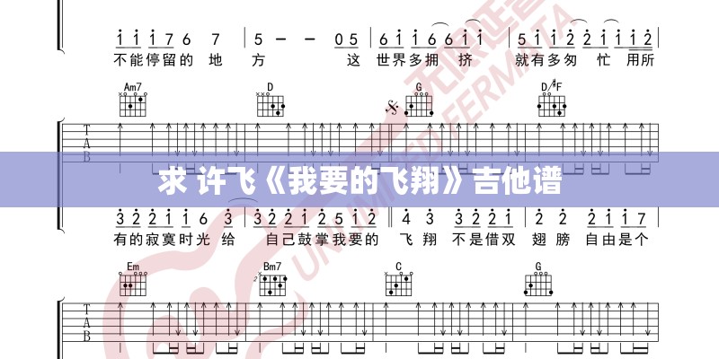 求 许飞《我要的飞翔》吉他谱