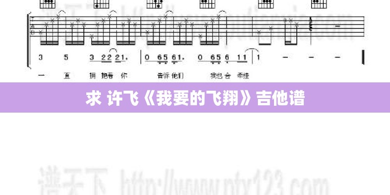 求 许飞《我要的飞翔》吉他谱