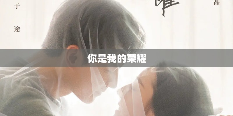 你是我的荣耀