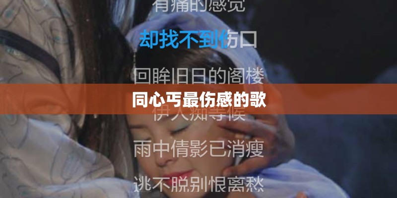 同心丐最伤感的歌
