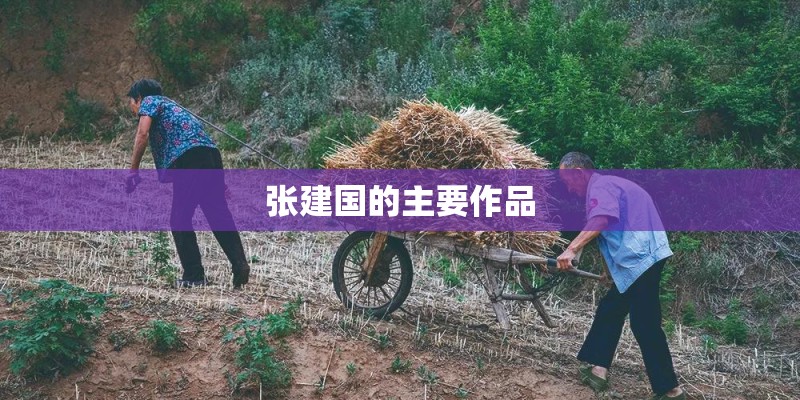 张建国的主要作品