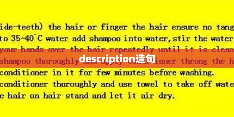 description造句