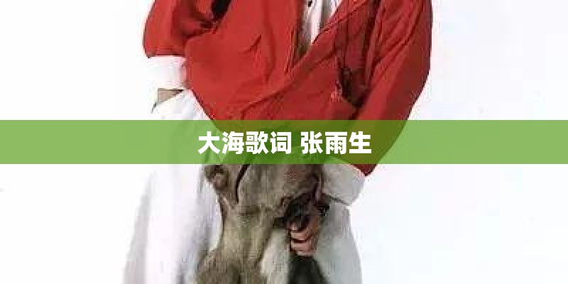 大海歌词 张雨生