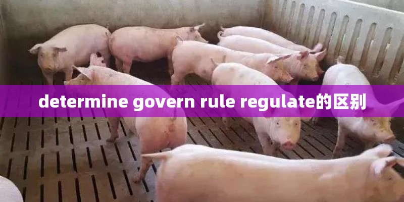 determine govern rule regulate的区别