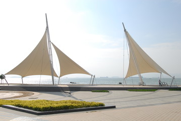 乒乓球运动中如何高抛发球