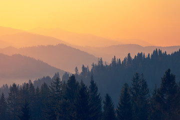 乒乓球区角活动介绍