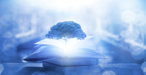 乒乓球十大恐怖发球