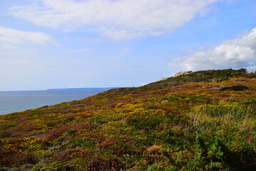 乒乓球区角活动介绍