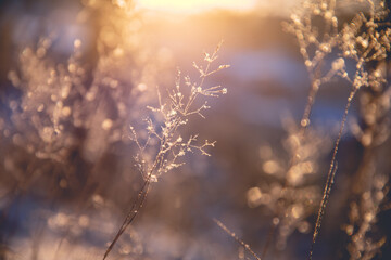 长安马自达是国产车吗-